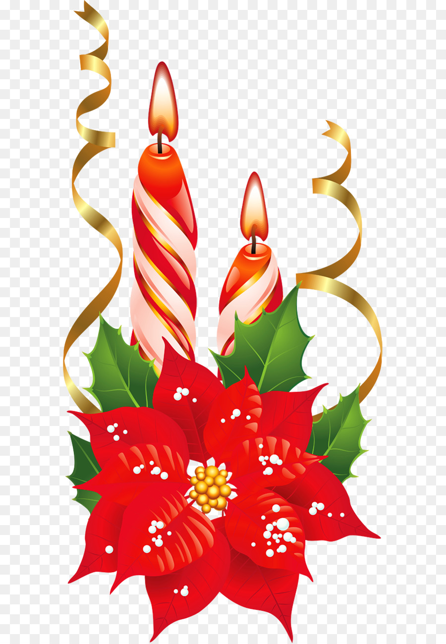 La Flor De Pascua，La Navidad PNG