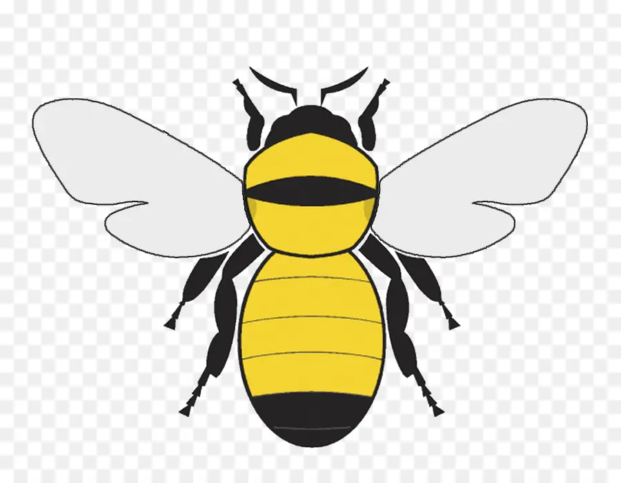 Abeja，Insecto PNG