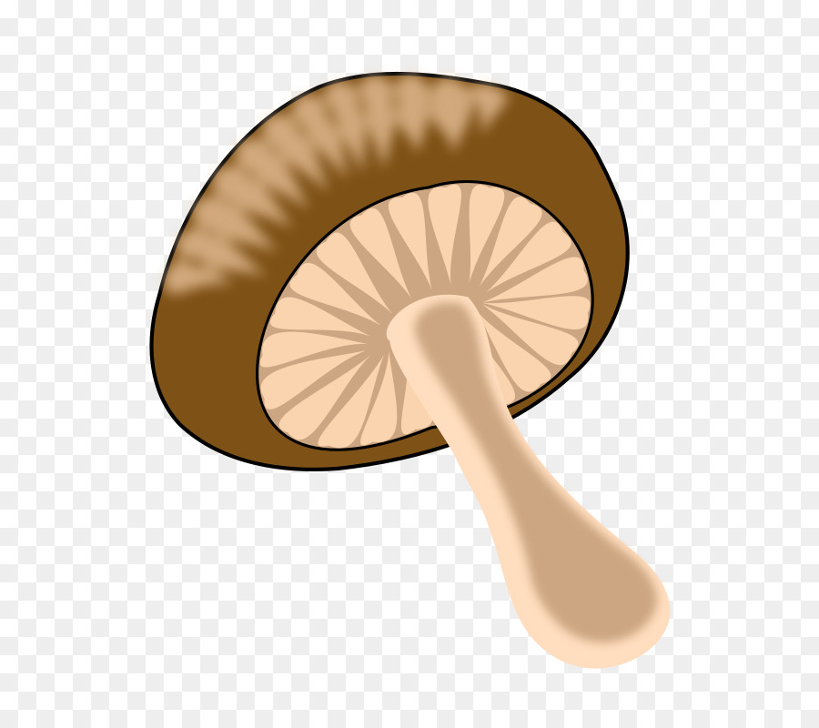 Seta Comestible，Seta PNG