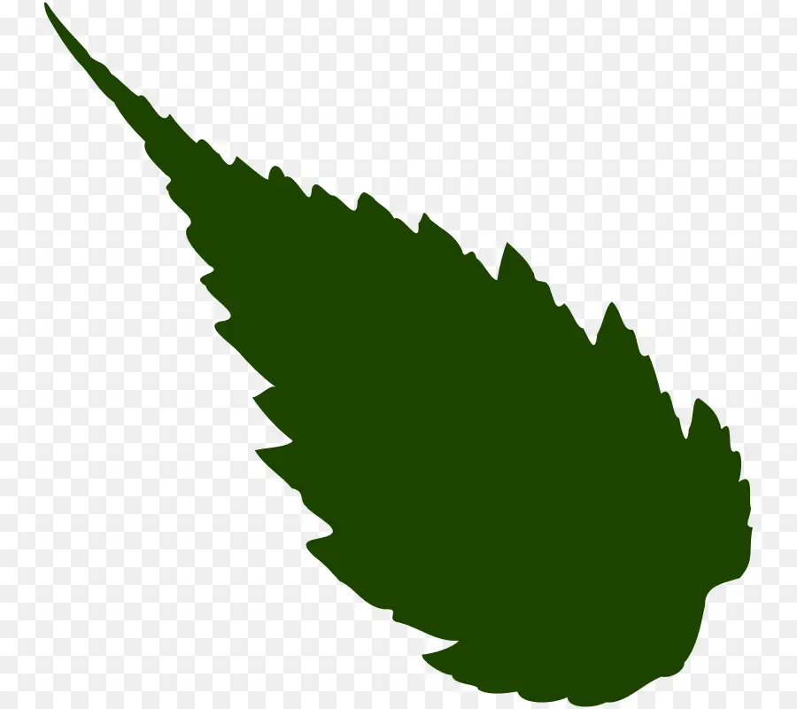 Hoja，Planta PNG