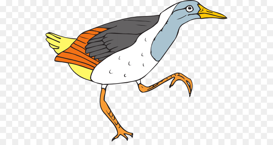 Pájaro，El Urogallo PNG