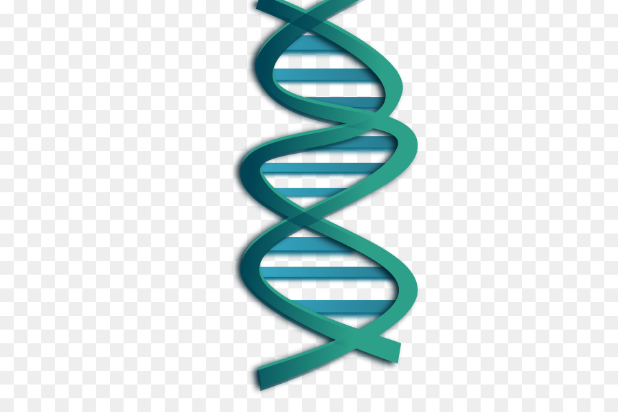Adn，ácido Nucleico Doble Hélice PNG