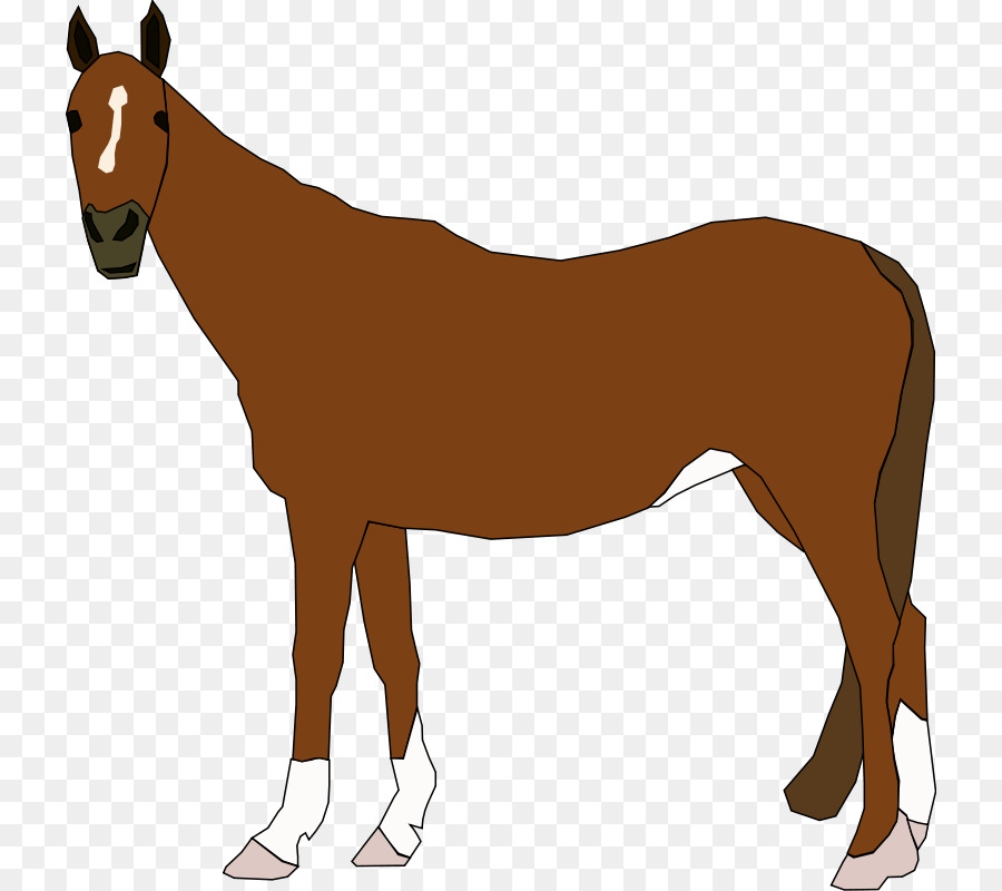 Caballo，Equino PNG