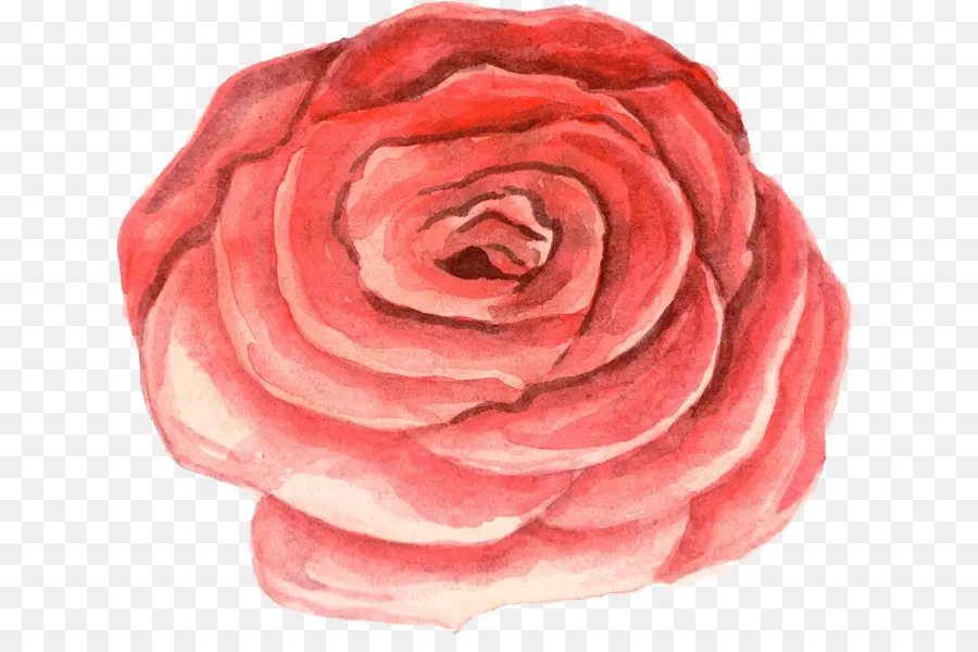 Acuarela De Flores，Pintura A La Acuarela PNG