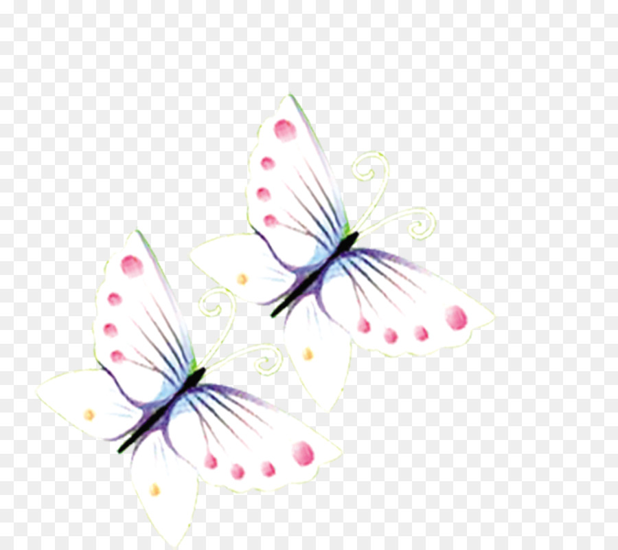 Mariposa，Blanco PNG