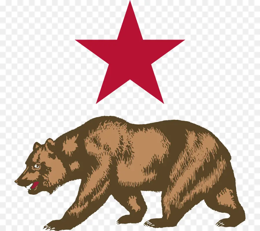 California，California El Oso Pardo PNG