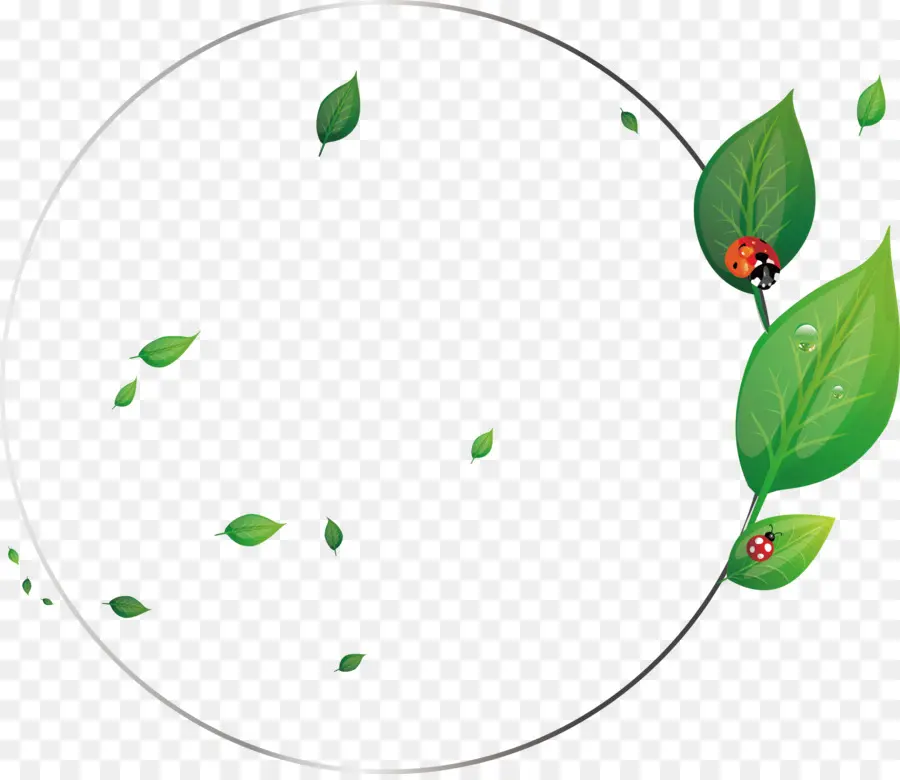 Vidrio，Mariquita PNG