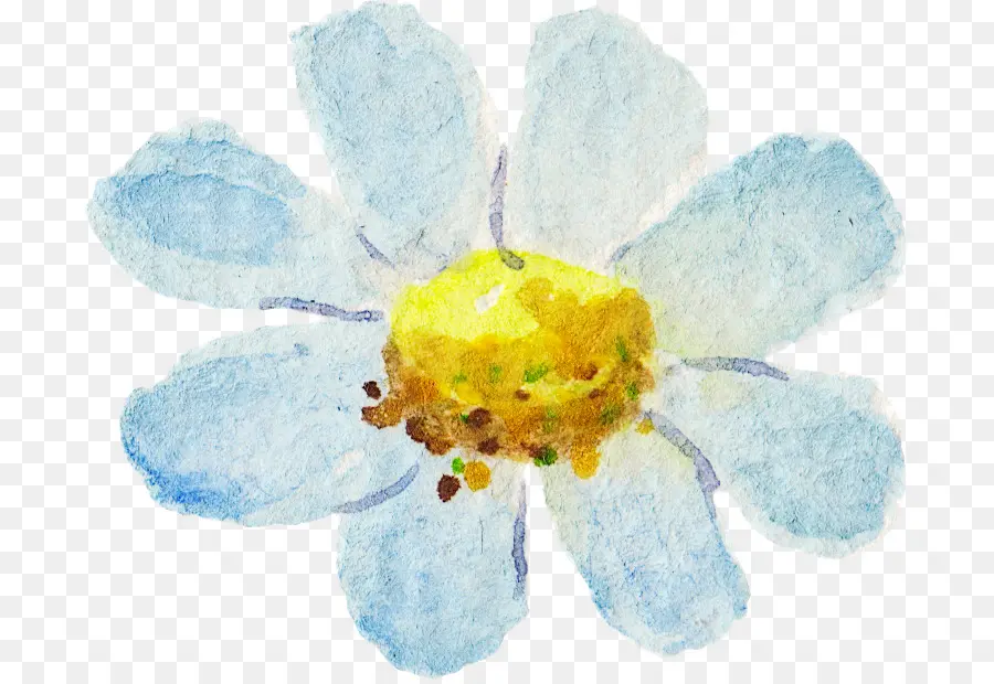 Acuarela De Flores，Pintura A La Acuarela PNG