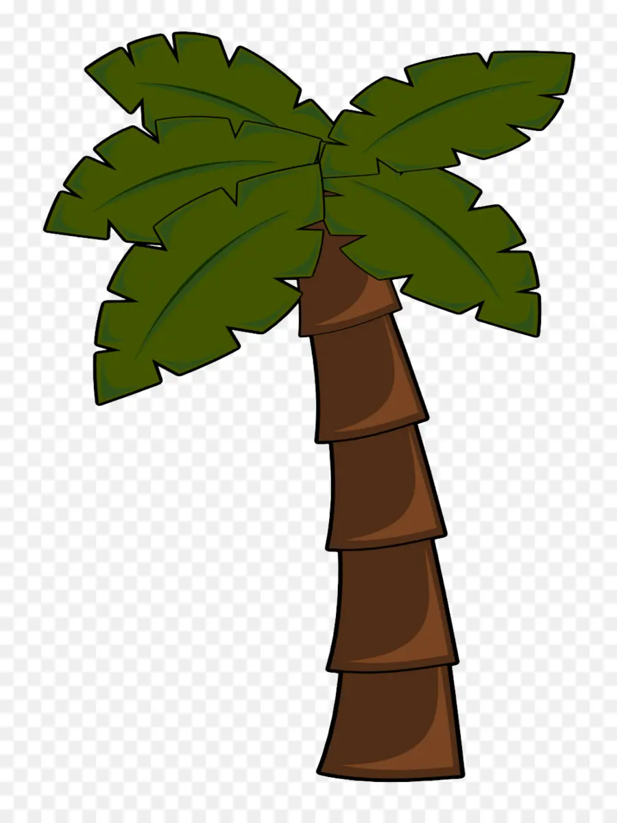 Arecaceae，árbol PNG