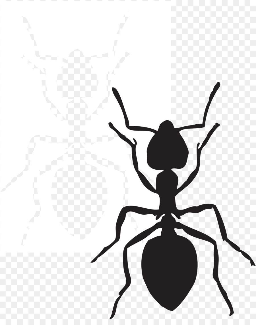 Hormiga，Bicho PNG