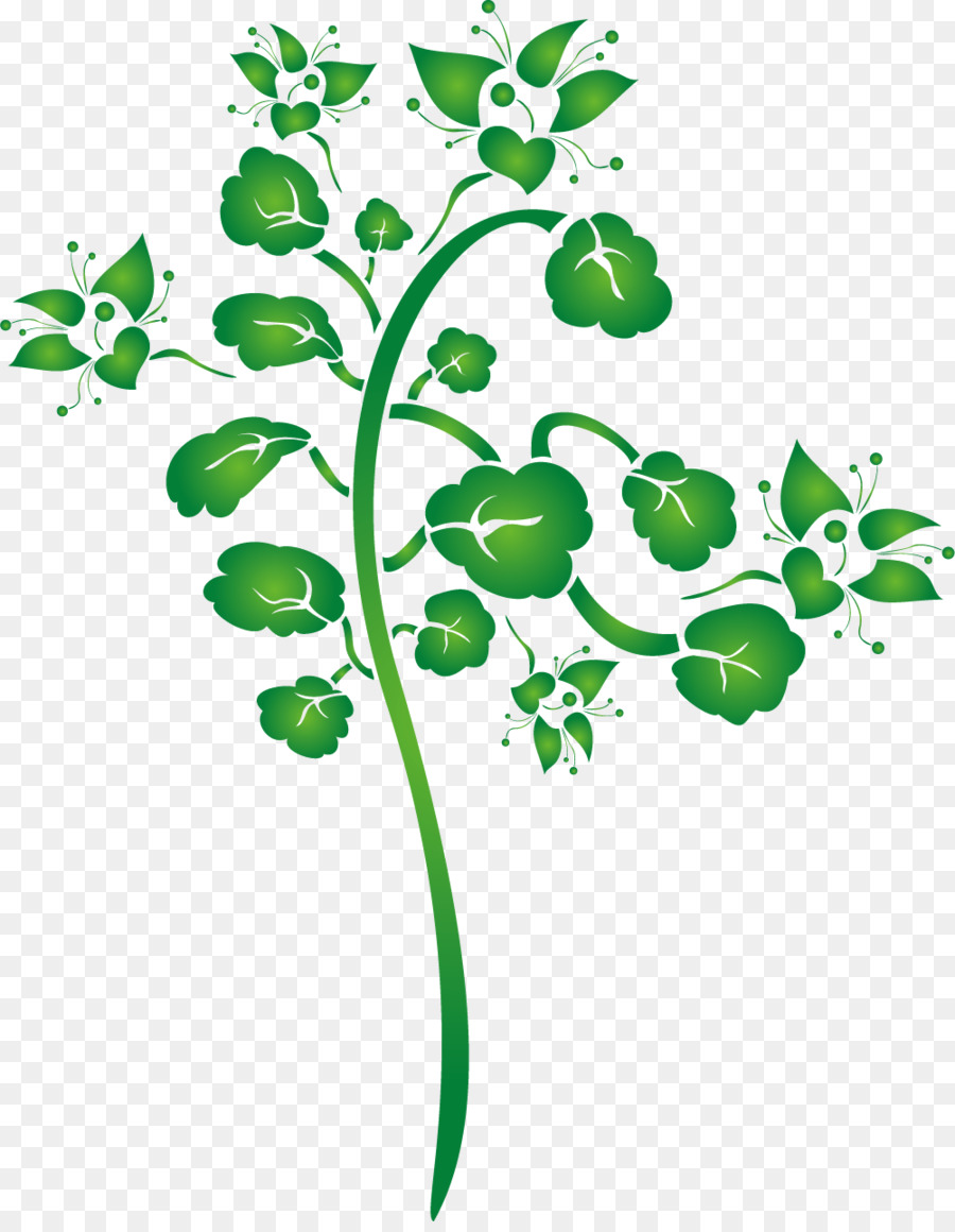 Hoja，Verde PNG