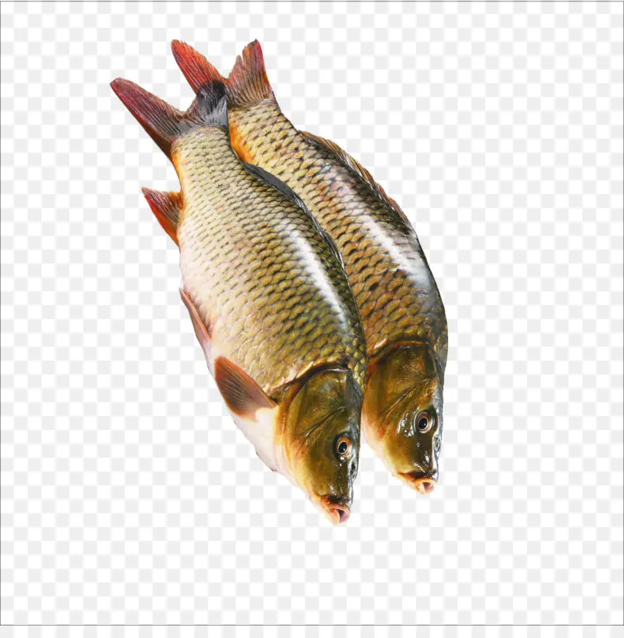 Arenque Ahumado，Sashimi PNG