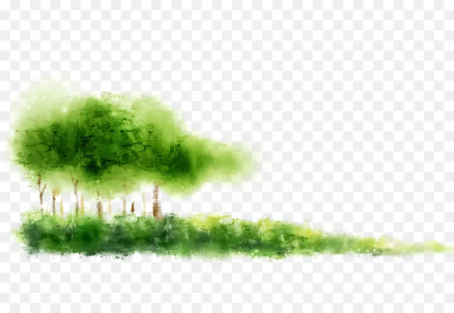 Verde，Ilustración De Stock PNG