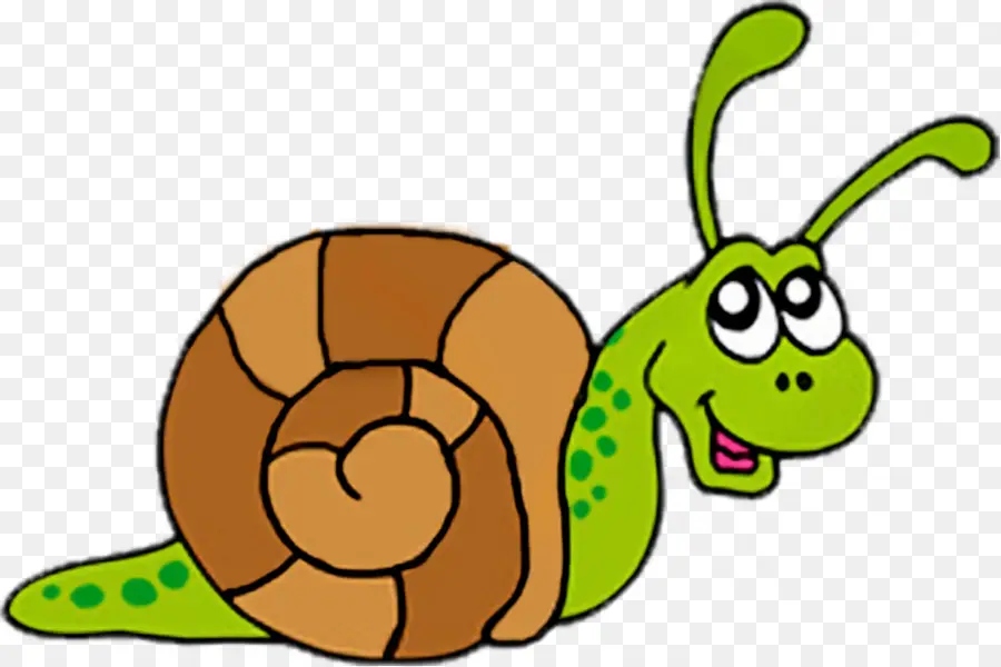 Caracol，Libre De Contenido PNG