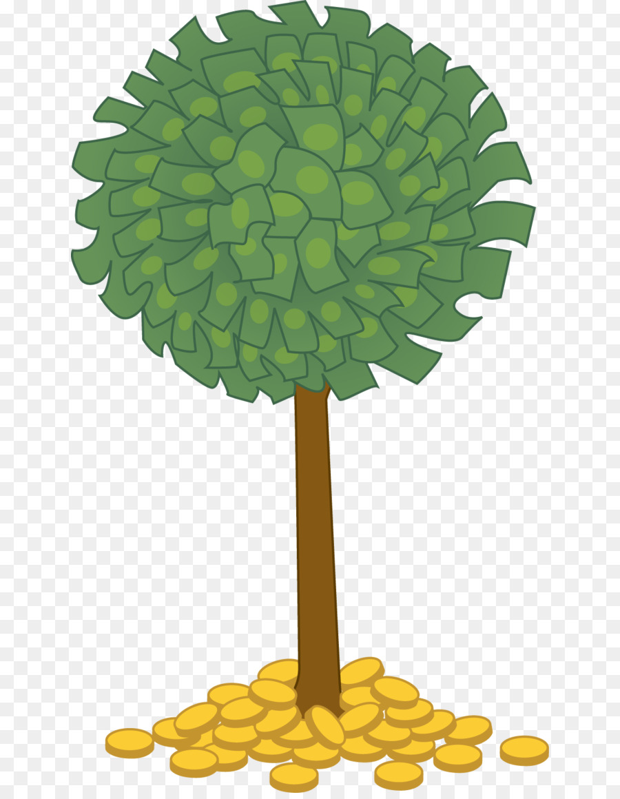 Castaño De Guayana，árbol PNG