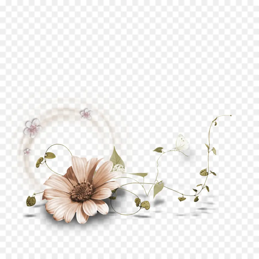 Decoración Floral，Margarita PNG