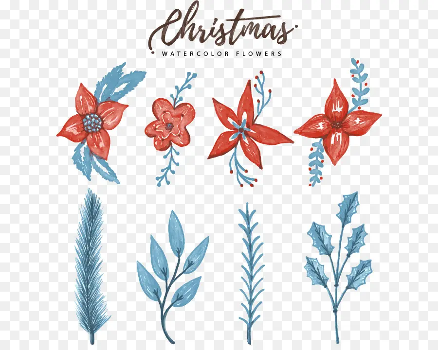Diseño Floral，Navidad PNG