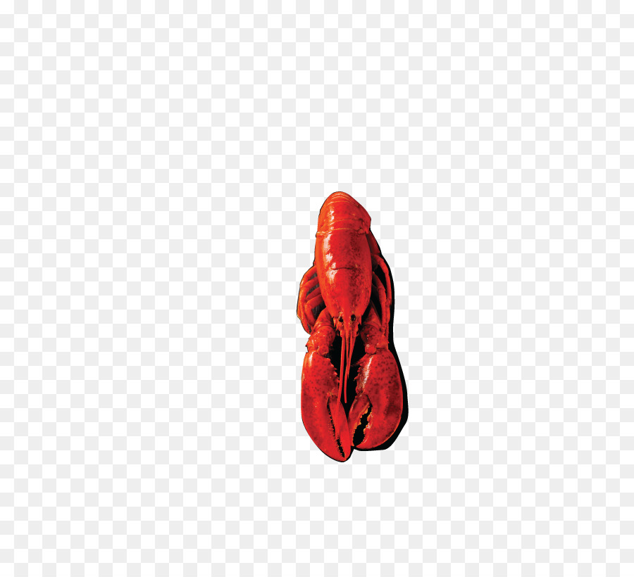 Rojo，Zapato PNG