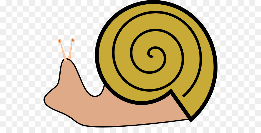 Caracol，Libre De Contenido PNG