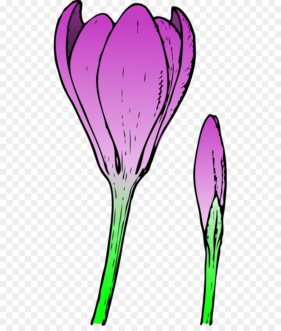 Flor，Púrpura PNG