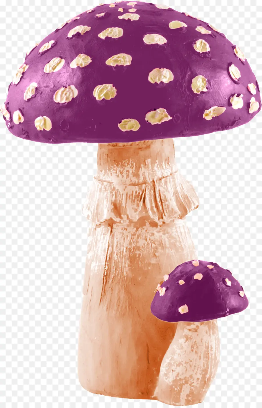 Amanita Muscaria，Seta PNG