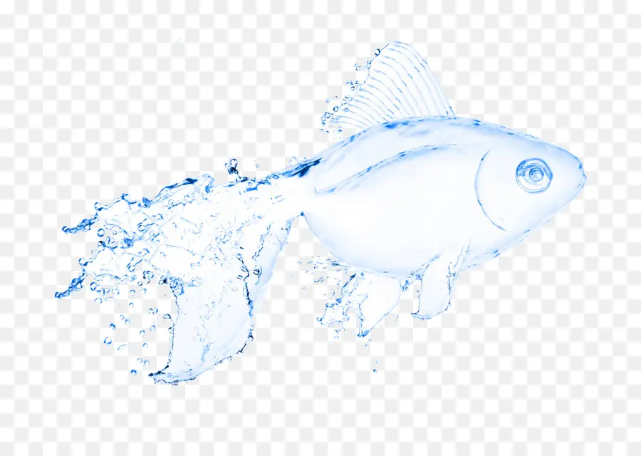 Agua，Los Peces PNG