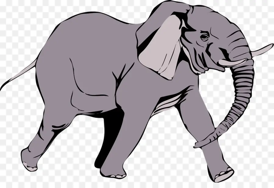 Elefante Caminando，Mamífero PNG