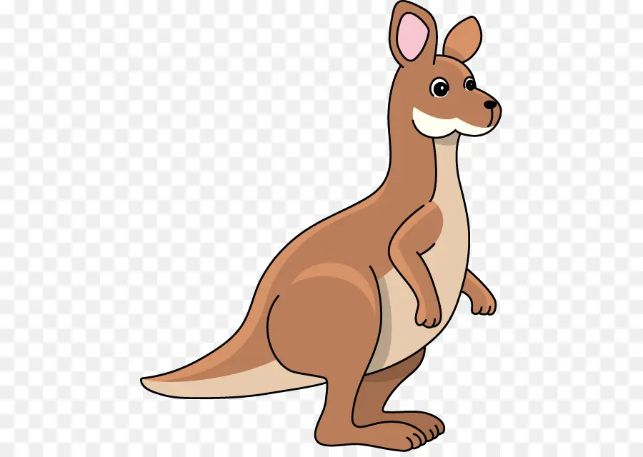 Canguro，El Kangaroo Joey PNG