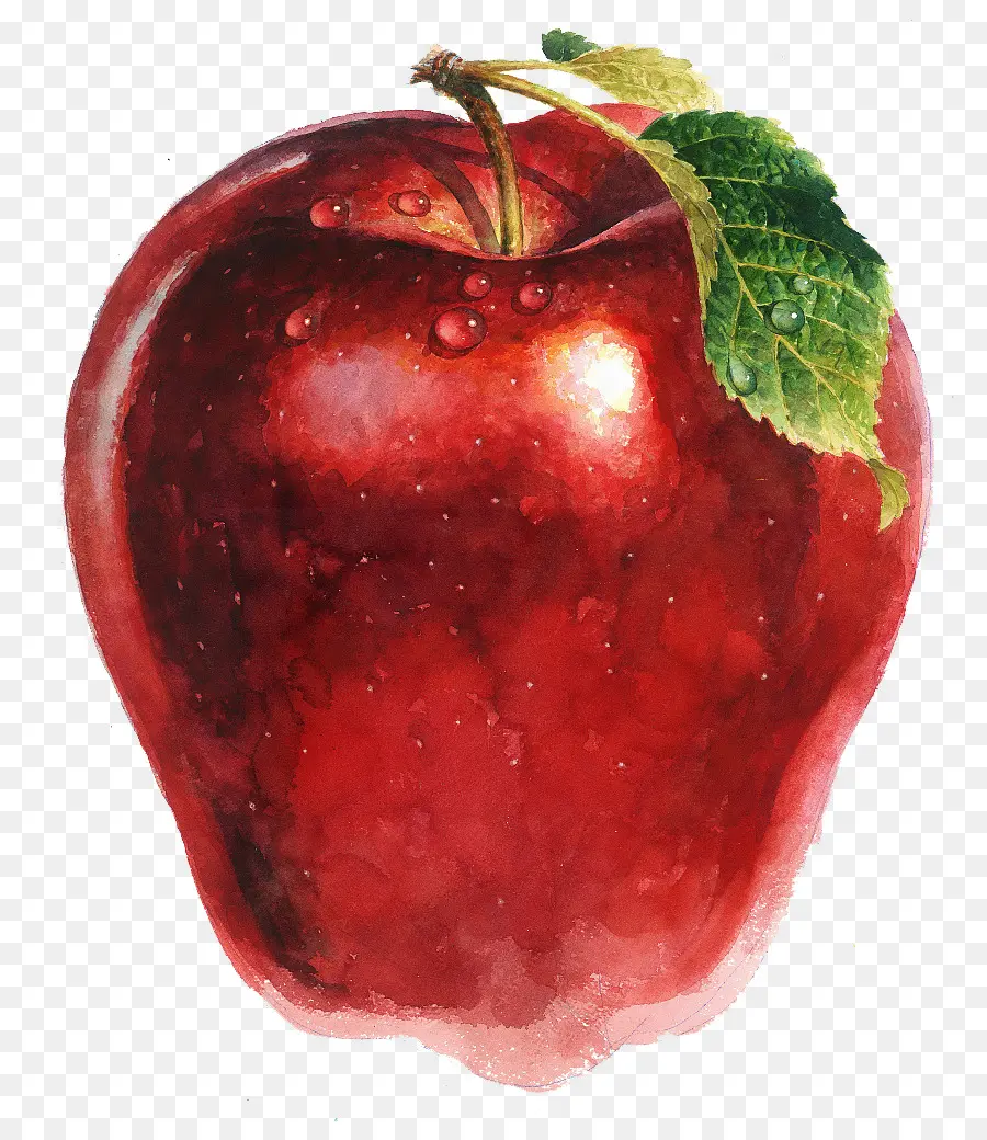 Apple，Dibujo PNG