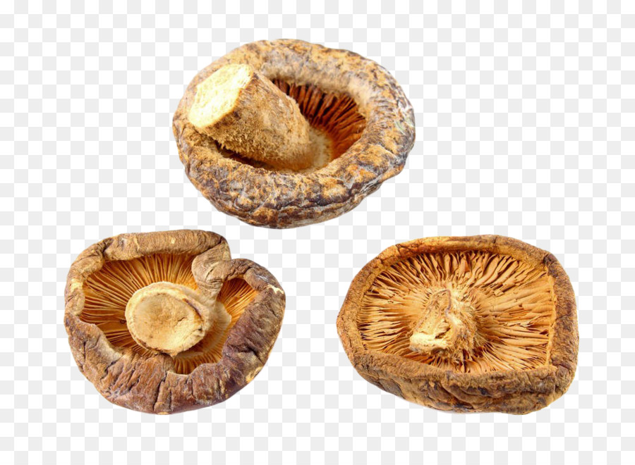 Shiitake，Seta PNG