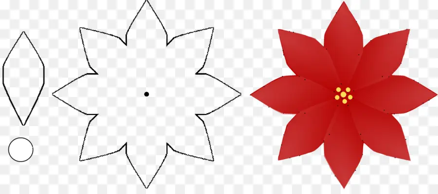 Flor，La Flor De Pascua PNG