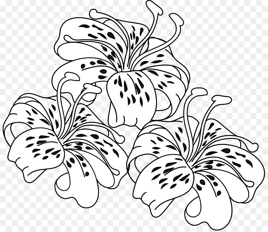 Flores De Lirio，En Blanco Y Negro PNG