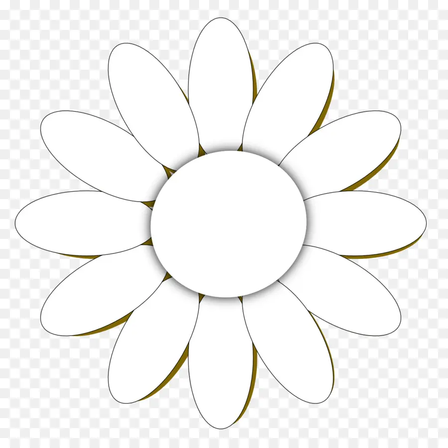 Común Daisy，Flor PNG