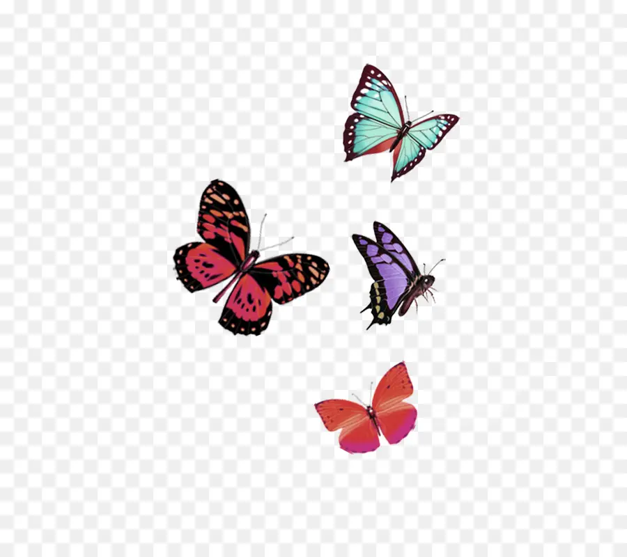 Mariposas，Vistoso PNG