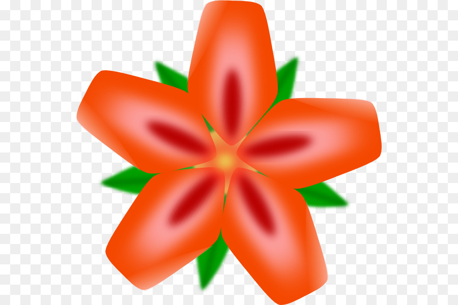 Hawaii，Flor PNG