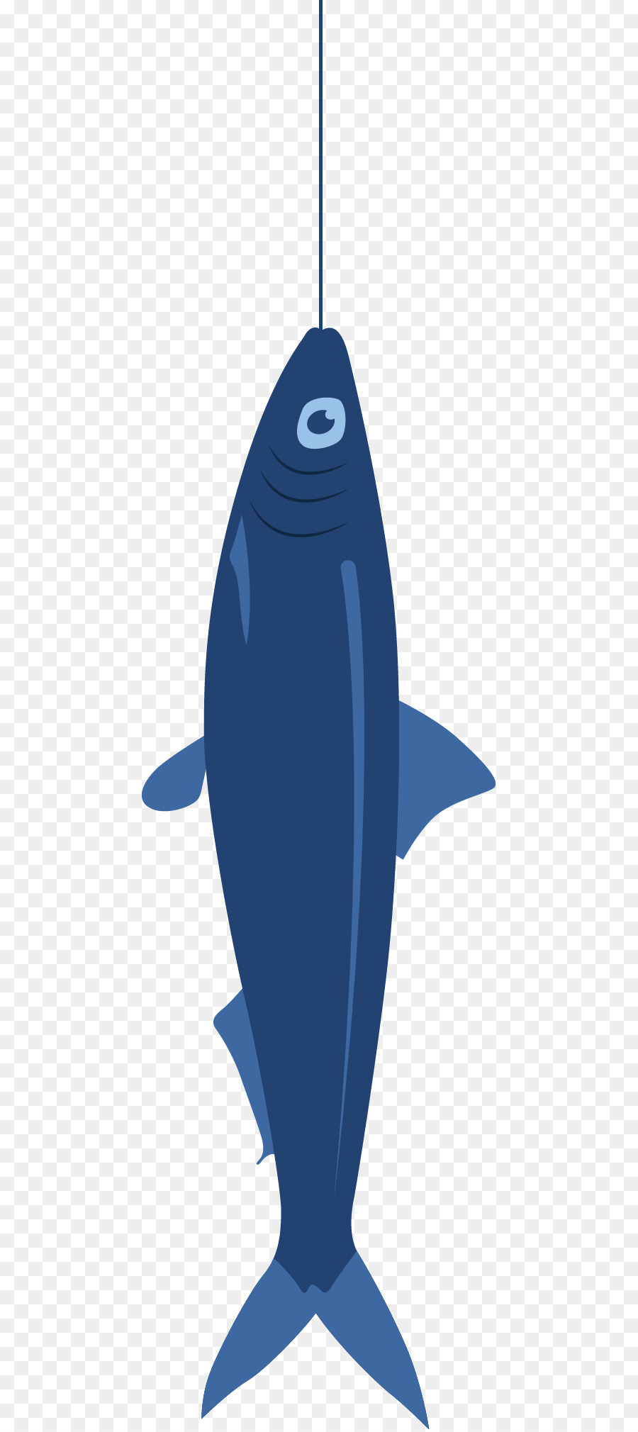 Tiburón，Azul PNG