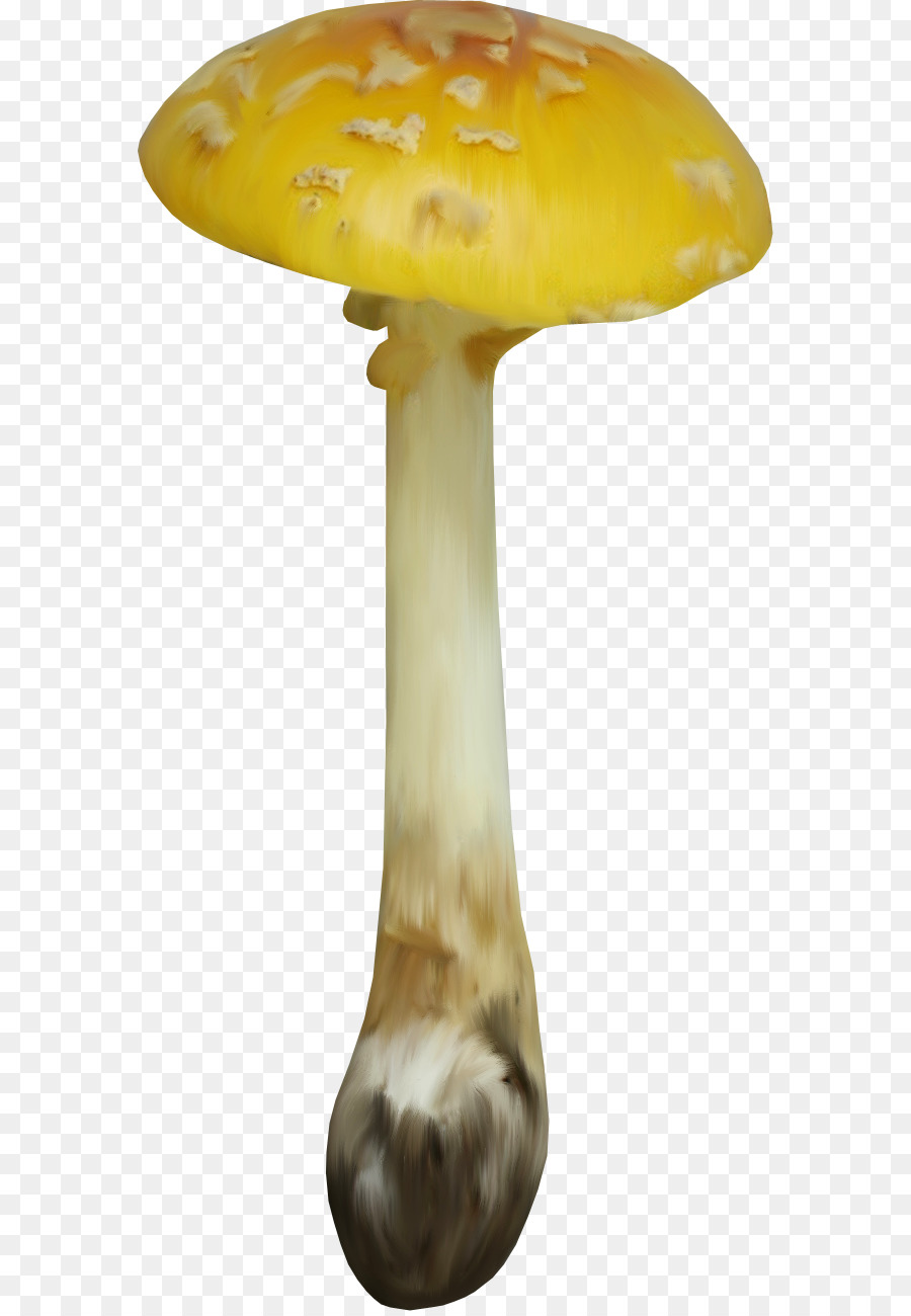 Champiñón，Tapa PNG