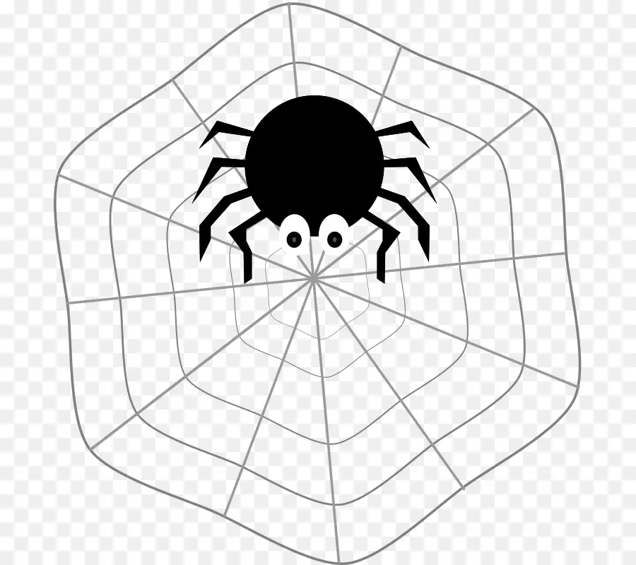 Araña En La Web，Web PNG