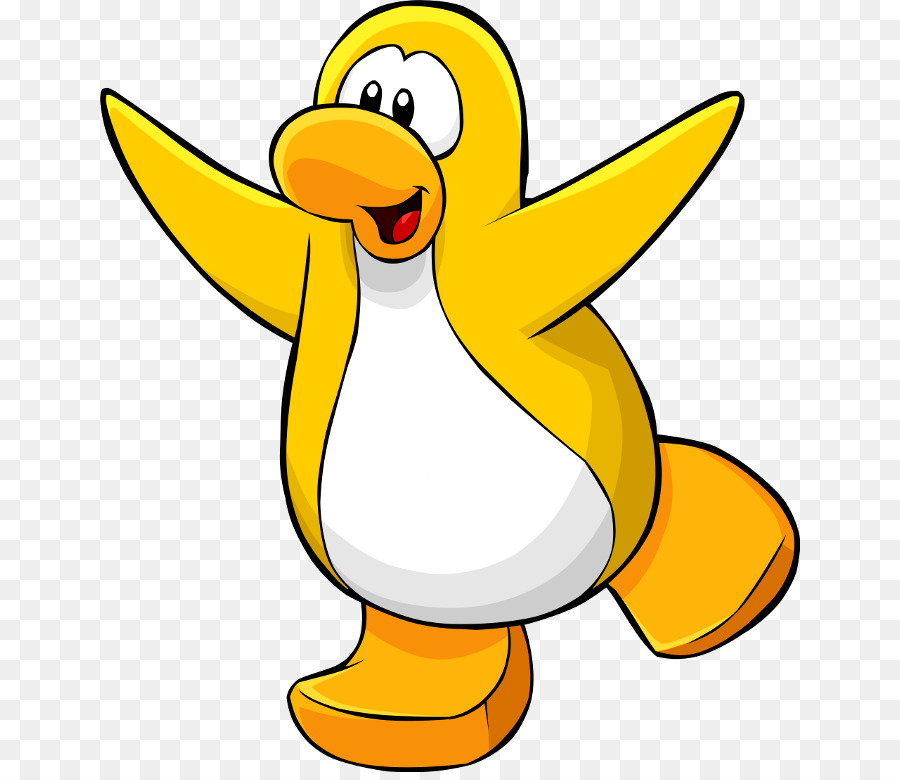 Pingüino Azul，Pájaro PNG