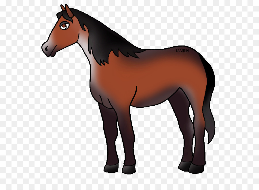 Caballo，Equino PNG