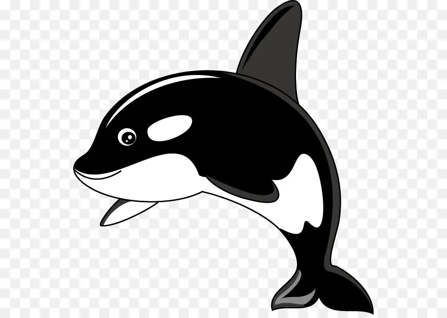 Orca，Ballena PNG