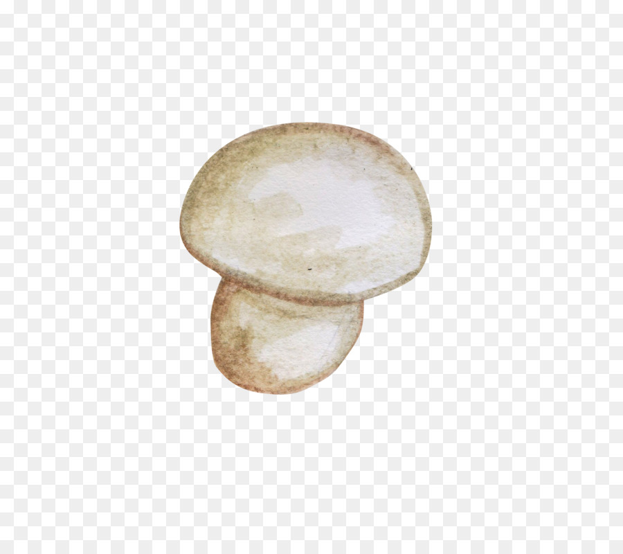 Champiñón，Hongos PNG