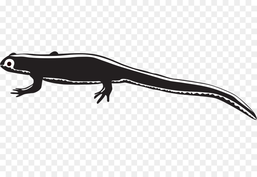 Newt，Gráficos Vectoriales Escalables PNG