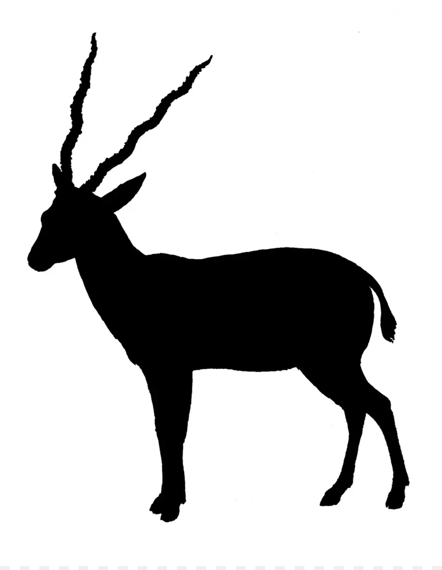 Antílope，Gazelle PNG