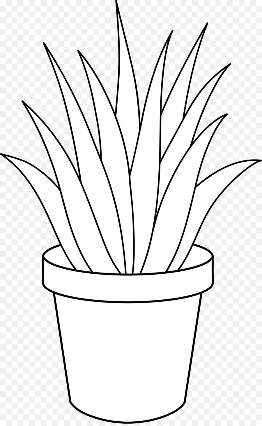 Aloe Vera，Planta PNG