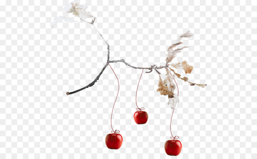 Cherry，Apple PNG