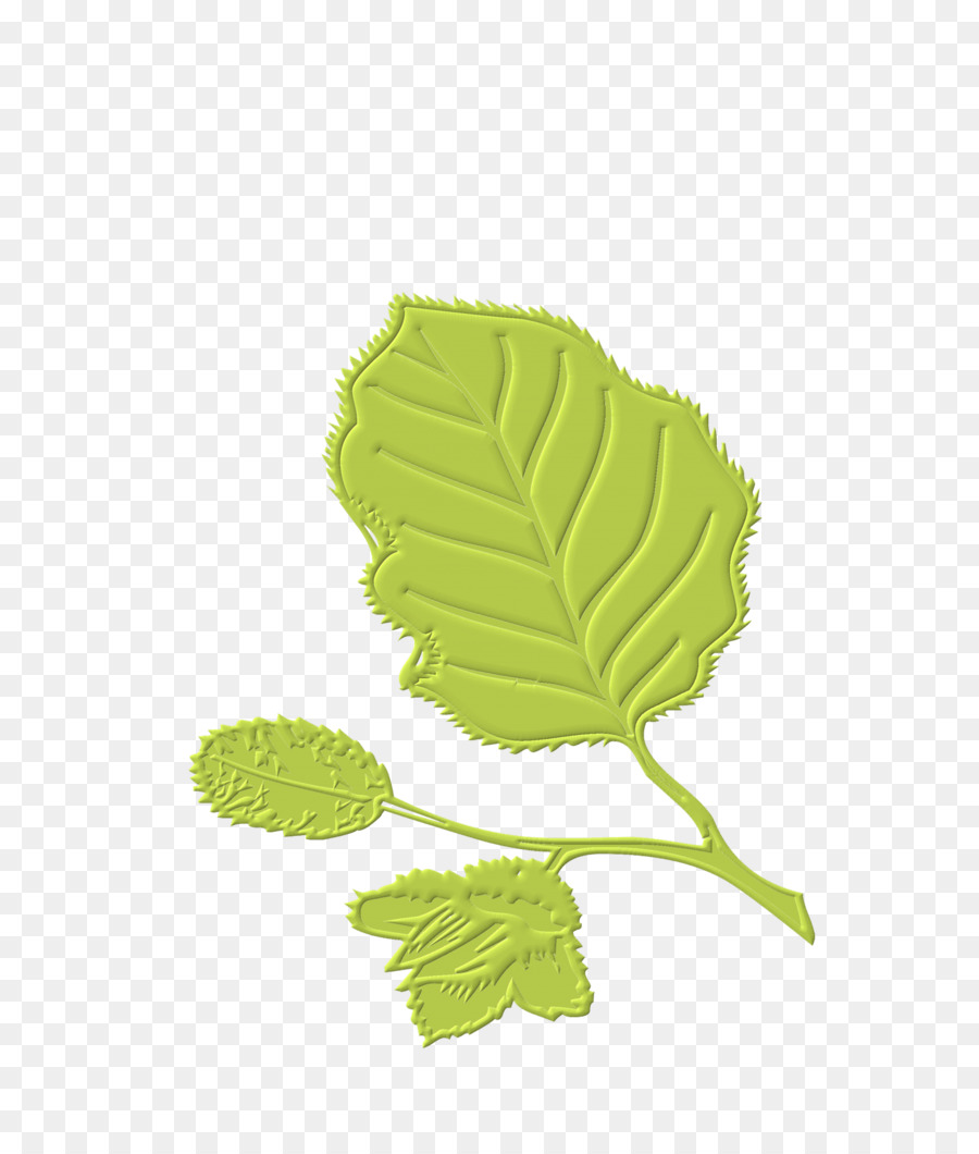 Hoja Verde，Naturaleza PNG