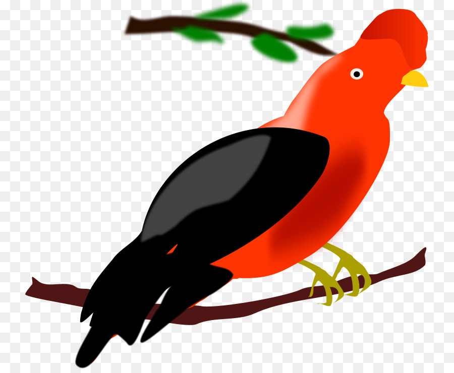 Pájaro Rojo，Rama PNG