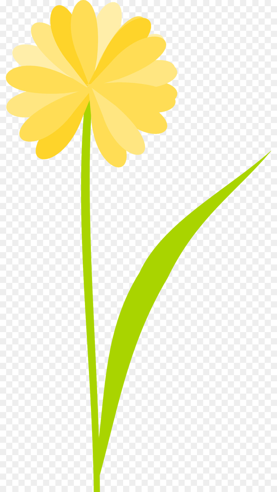 Flor De Naranja，Florecer PNG