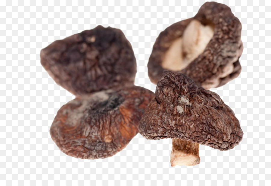 Cocina Asiática，Shiitake PNG